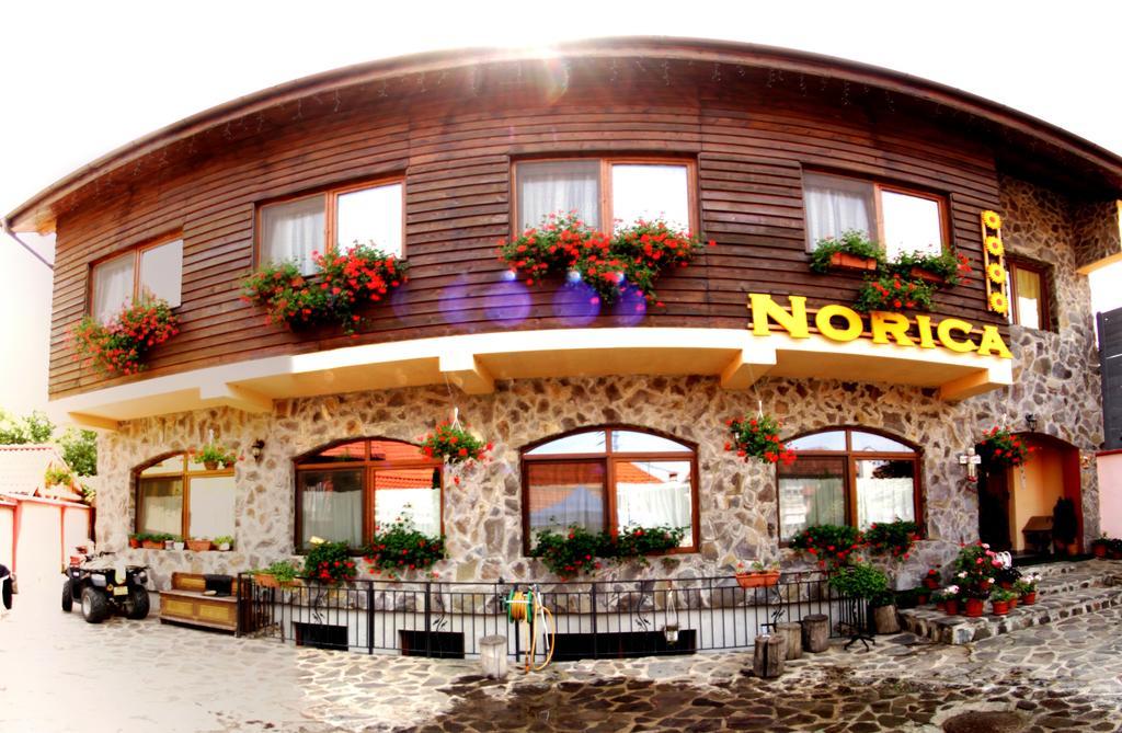 Pensiunea Norica Gura Rîului Exteriör bild